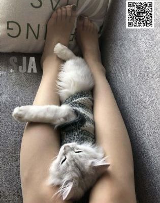 长相思第二季 电视剧_BD韩语在线播放观看