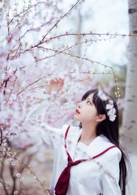天影动漫_蓝光高清视频观看